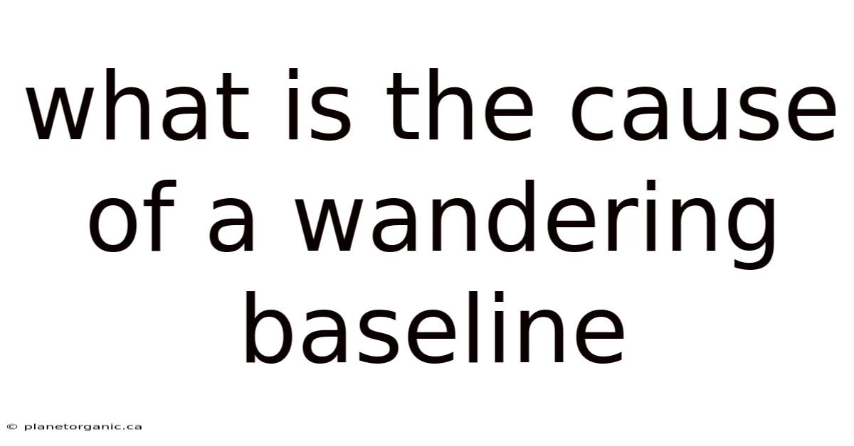 What Is The Cause Of A Wandering Baseline