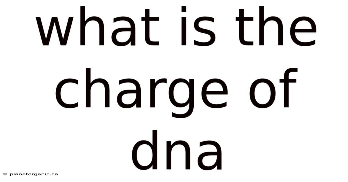 What Is The Charge Of Dna