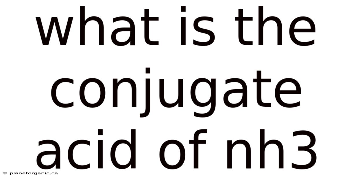 What Is The Conjugate Acid Of Nh3