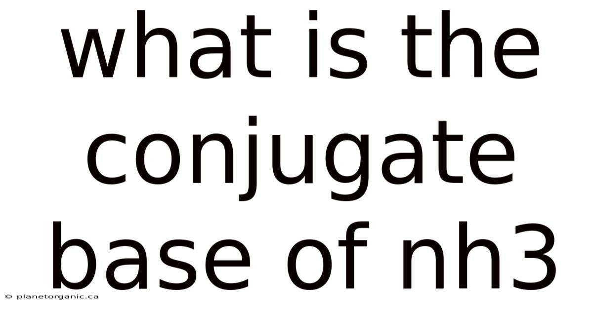 What Is The Conjugate Base Of Nh3