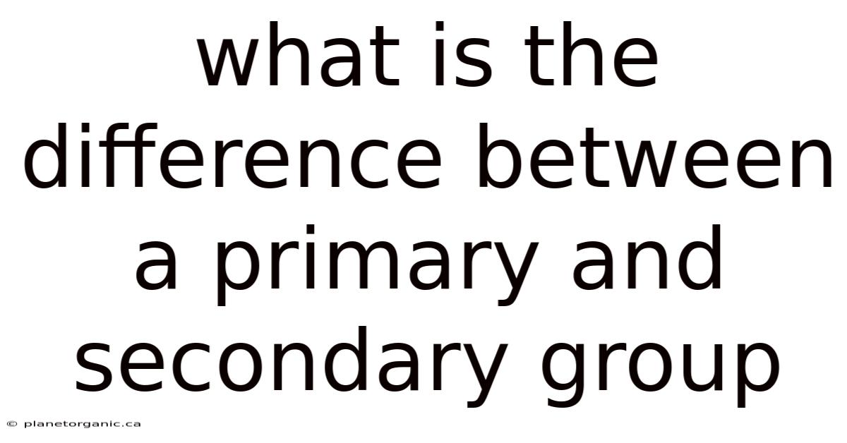 What Is The Difference Between A Primary And Secondary Group