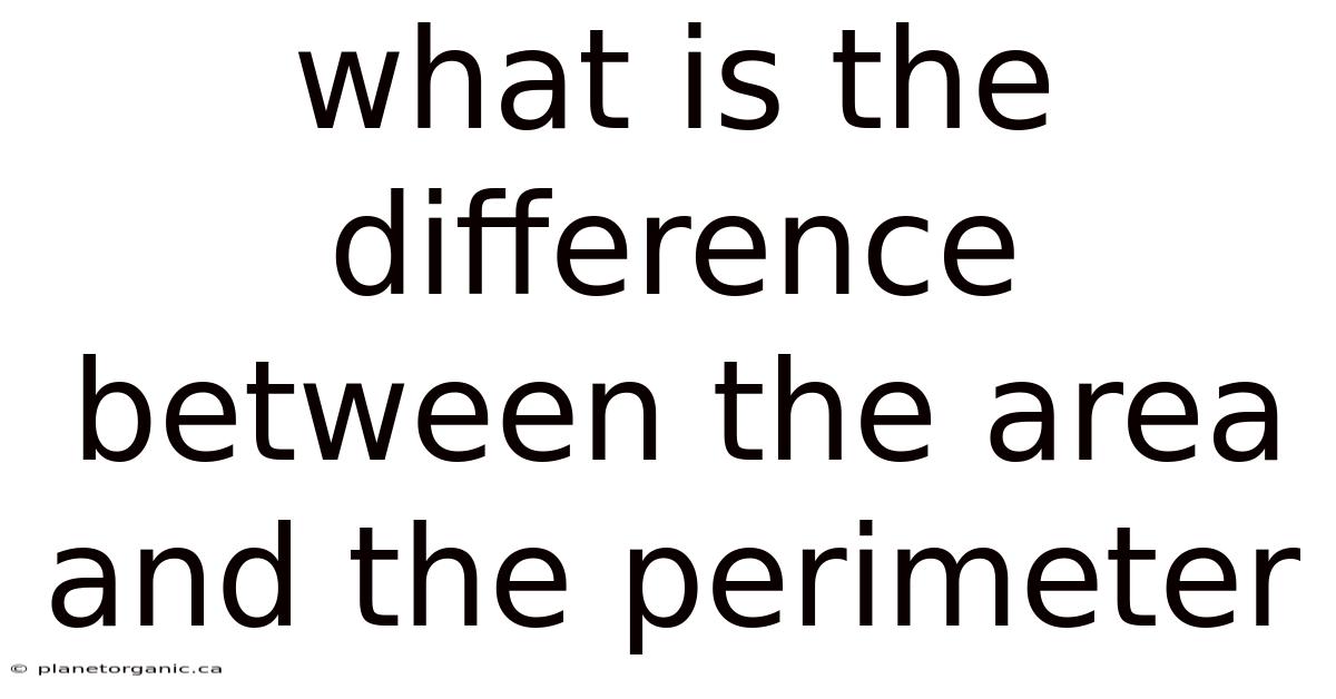 What Is The Difference Between The Area And The Perimeter