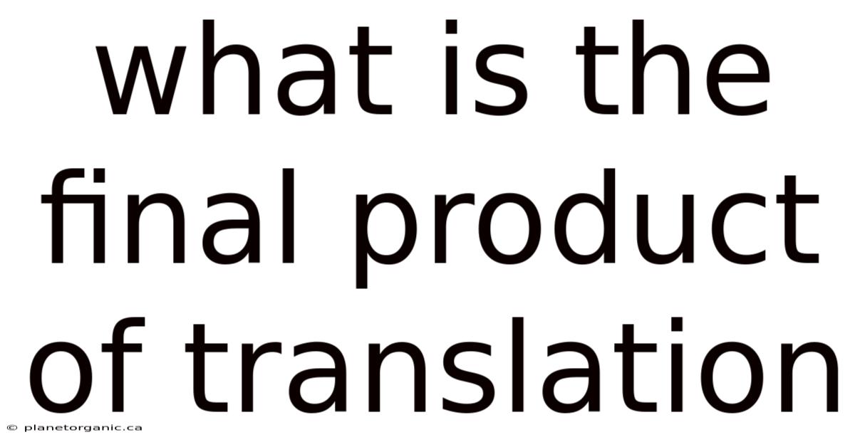 What Is The Final Product Of Translation