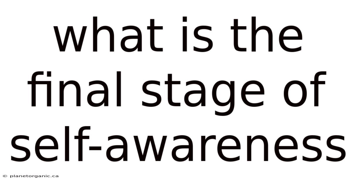 What Is The Final Stage Of Self-awareness
