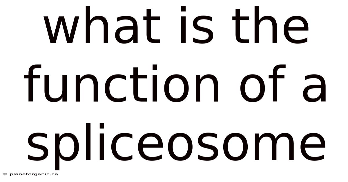 What Is The Function Of A Spliceosome