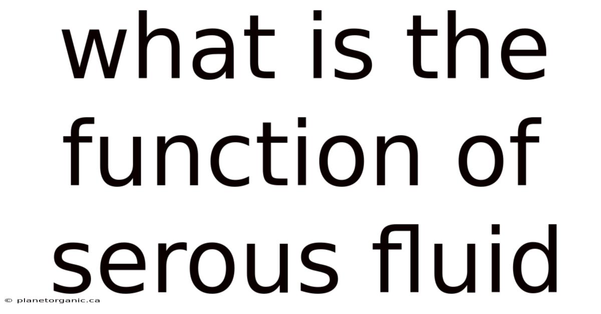 What Is The Function Of Serous Fluid