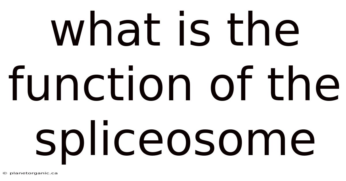 What Is The Function Of The Spliceosome