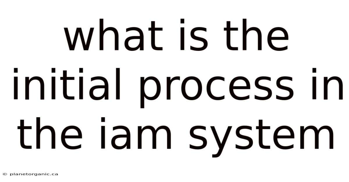 What Is The Initial Process In The Iam System