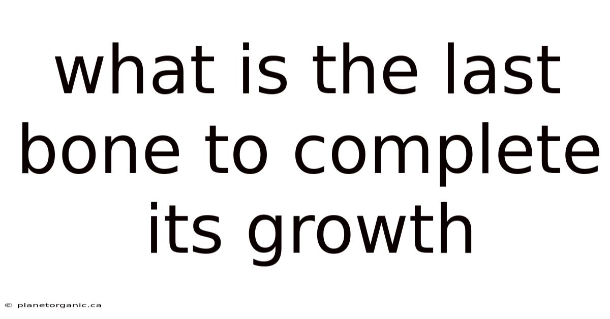 What Is The Last Bone To Complete Its Growth