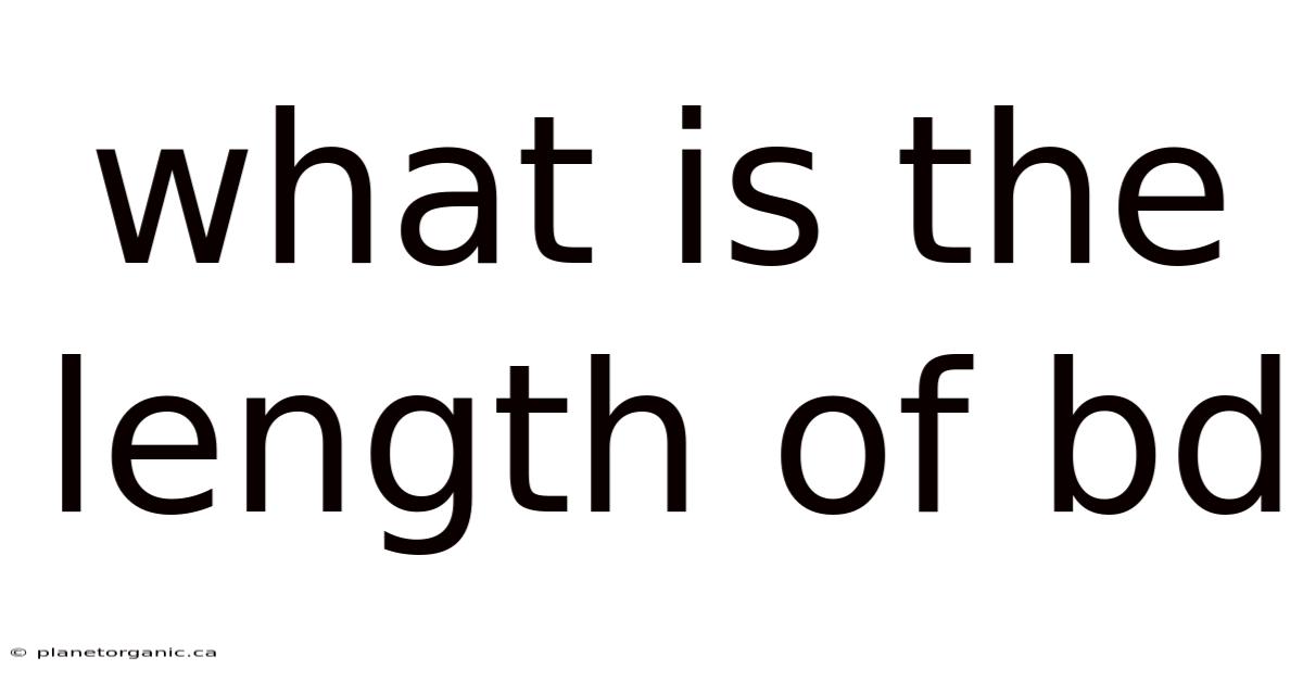What Is The Length Of Bd
