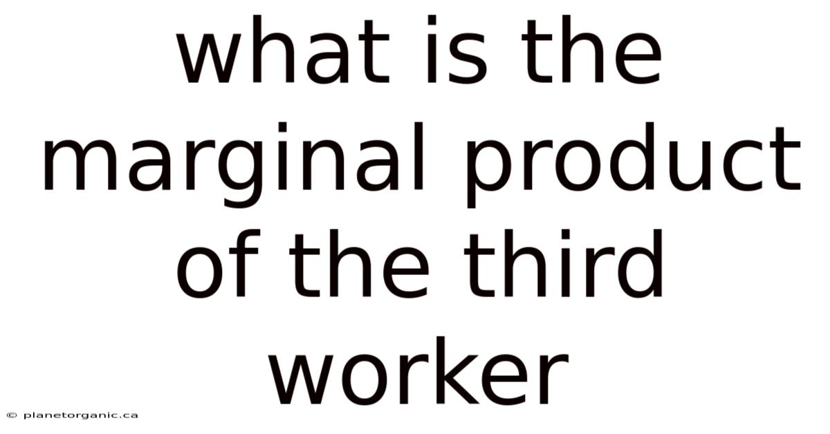 What Is The Marginal Product Of The Third Worker