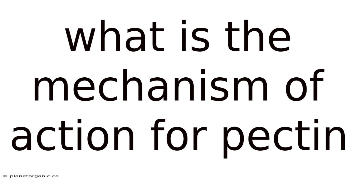 What Is The Mechanism Of Action For Pectin