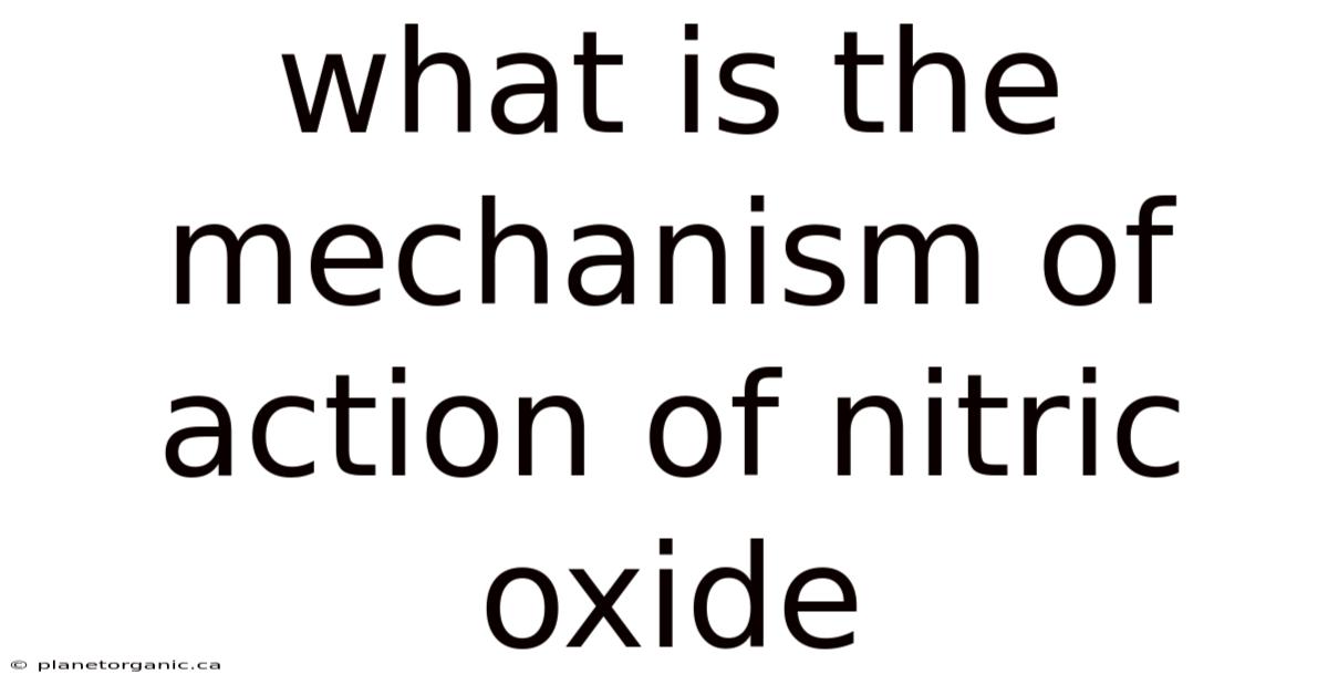What Is The Mechanism Of Action Of Nitric Oxide