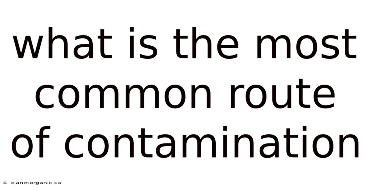 What Is The Most Common Route Of Contamination