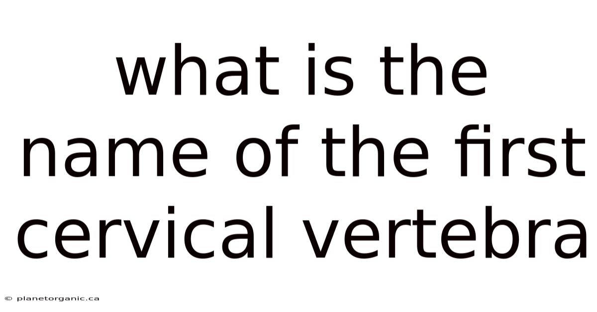 What Is The Name Of The First Cervical Vertebra