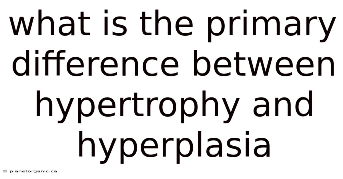 What Is The Primary Difference Between Hypertrophy And Hyperplasia
