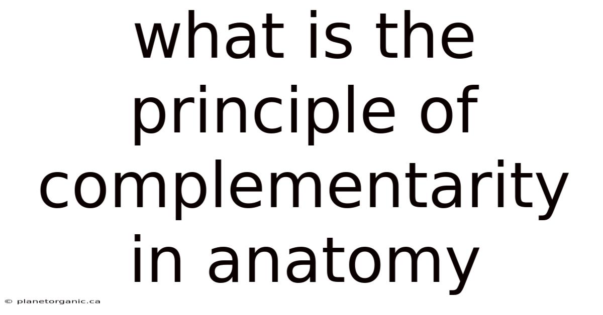 What Is The Principle Of Complementarity In Anatomy