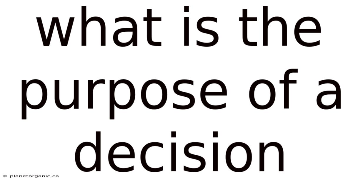 What Is The Purpose Of A Decision