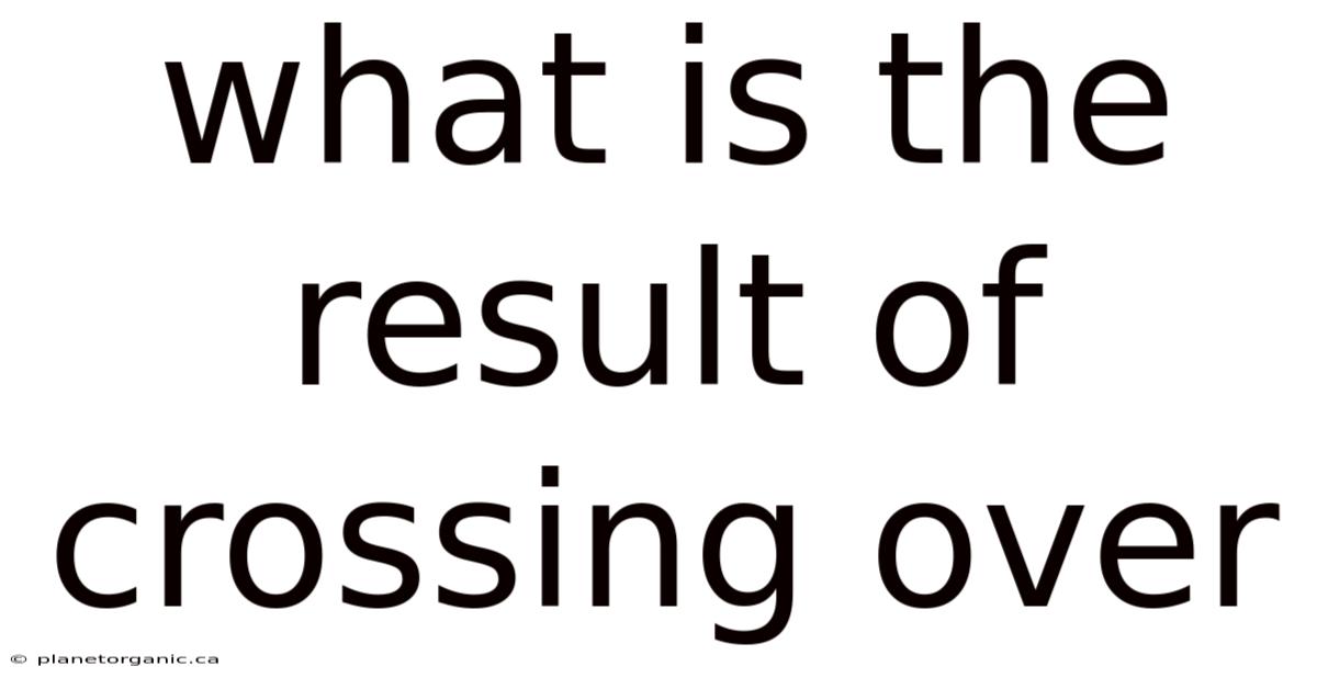 What Is The Result Of Crossing Over