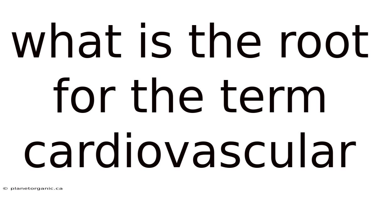 What Is The Root For The Term Cardiovascular