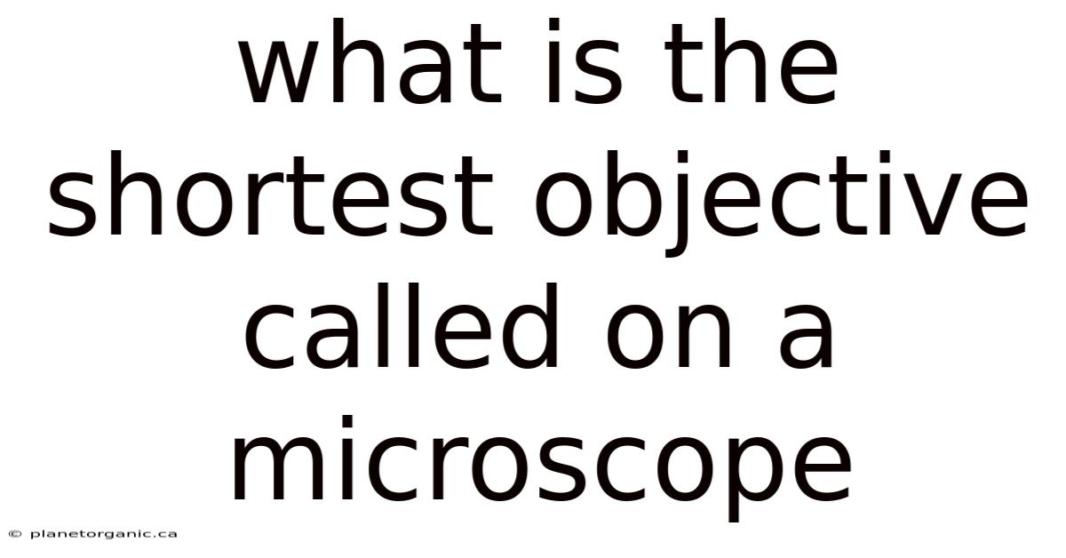 What Is The Shortest Objective Called On A Microscope