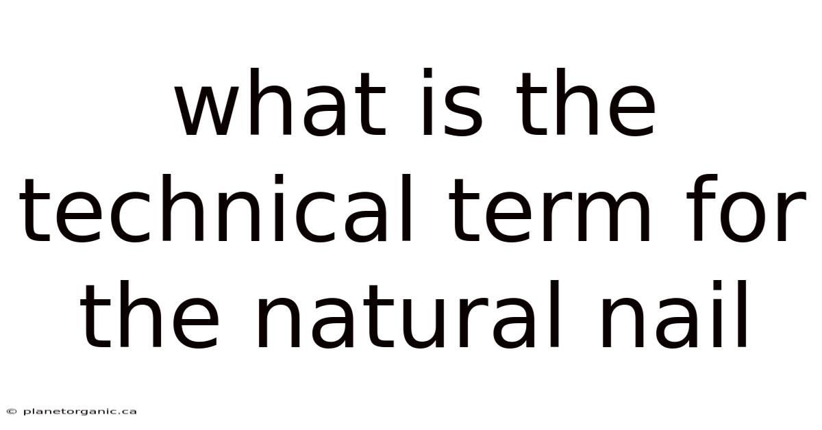 What Is The Technical Term For The Natural Nail