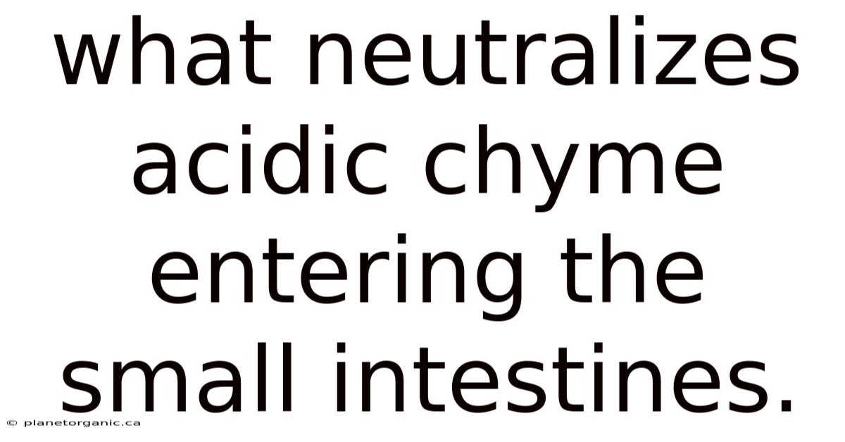 What Neutralizes Acidic Chyme Entering The Small Intestines.
