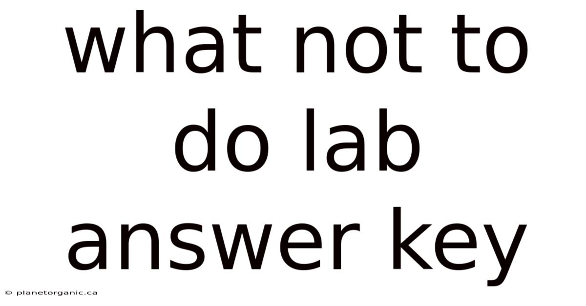 What Not To Do Lab Answer Key