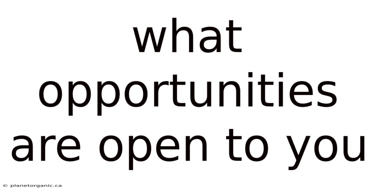 What Opportunities Are Open To You