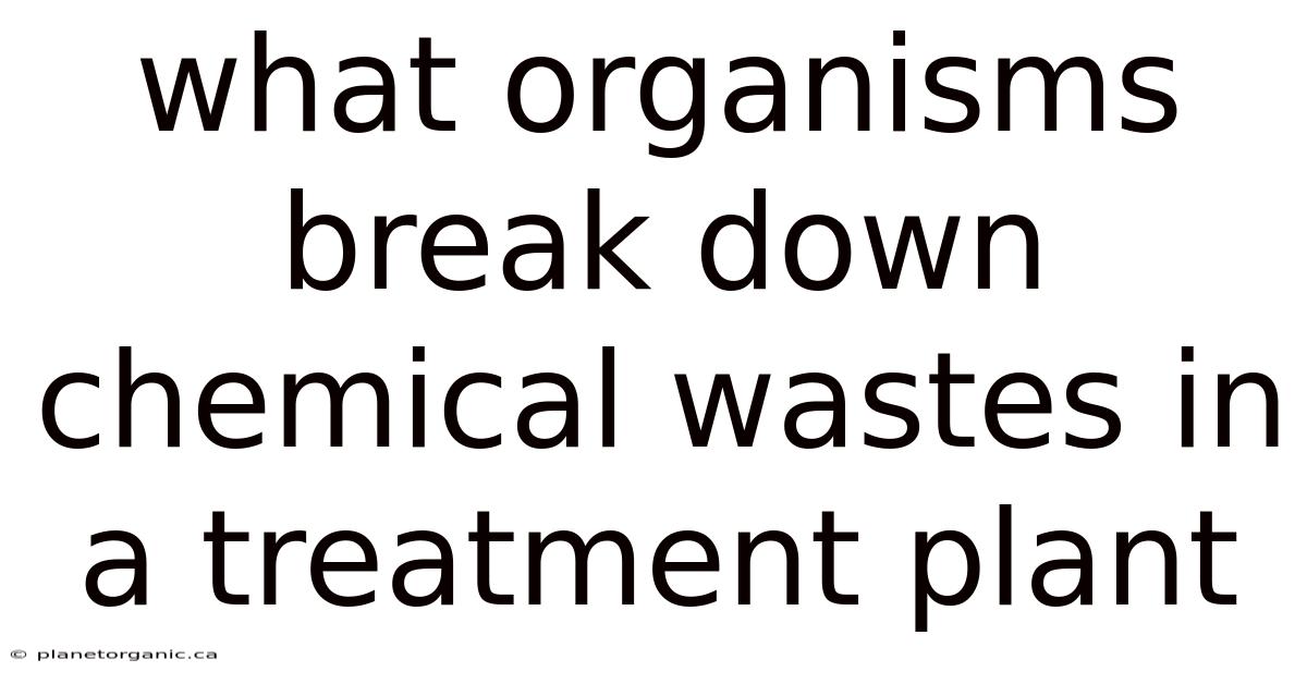 What Organisms Break Down Chemical Wastes In A Treatment Plant