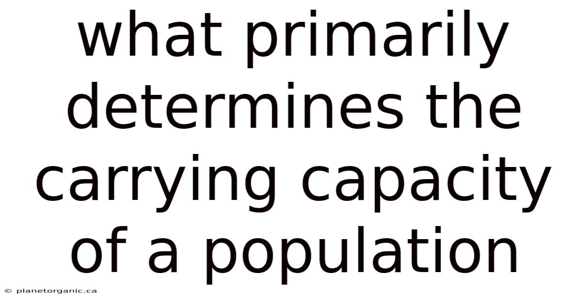 What Primarily Determines The Carrying Capacity Of A Population