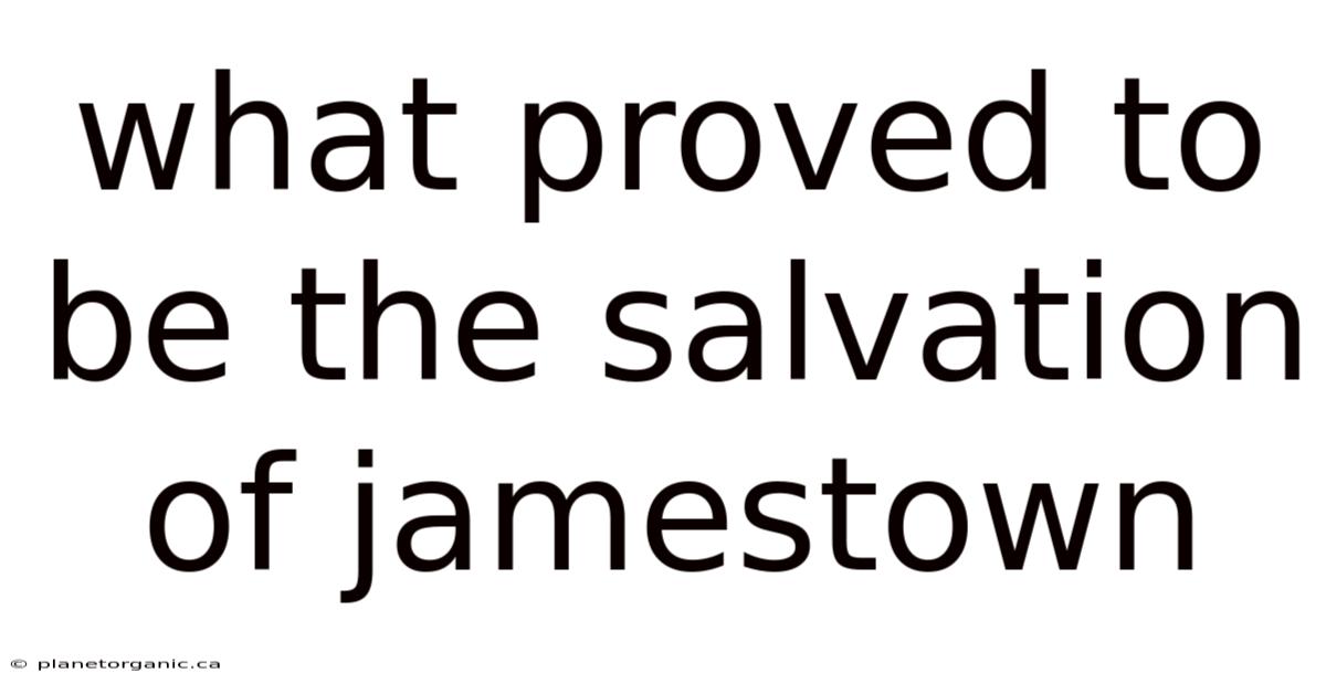 What Proved To Be The Salvation Of Jamestown
