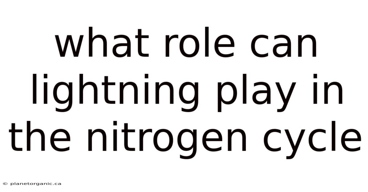 What Role Can Lightning Play In The Nitrogen Cycle