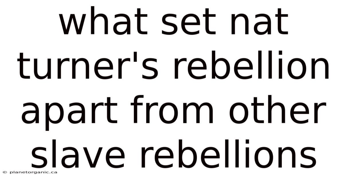 What Set Nat Turner's Rebellion Apart From Other Slave Rebellions