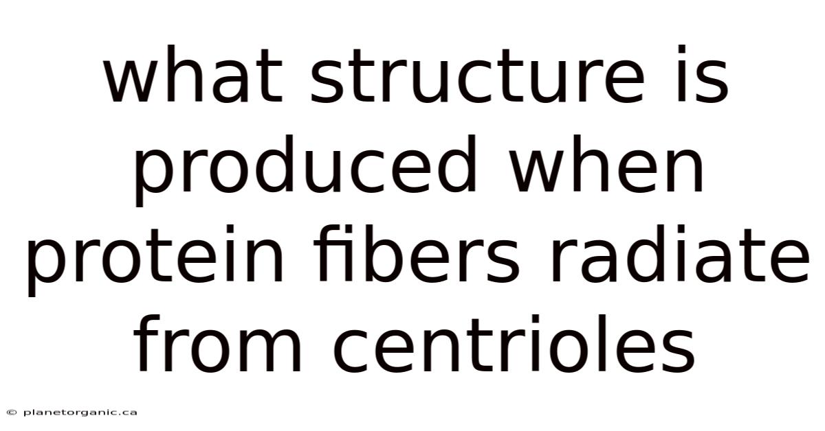 What Structure Is Produced When Protein Fibers Radiate From Centrioles