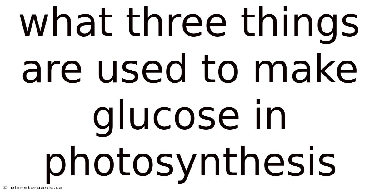 What Three Things Are Used To Make Glucose In Photosynthesis