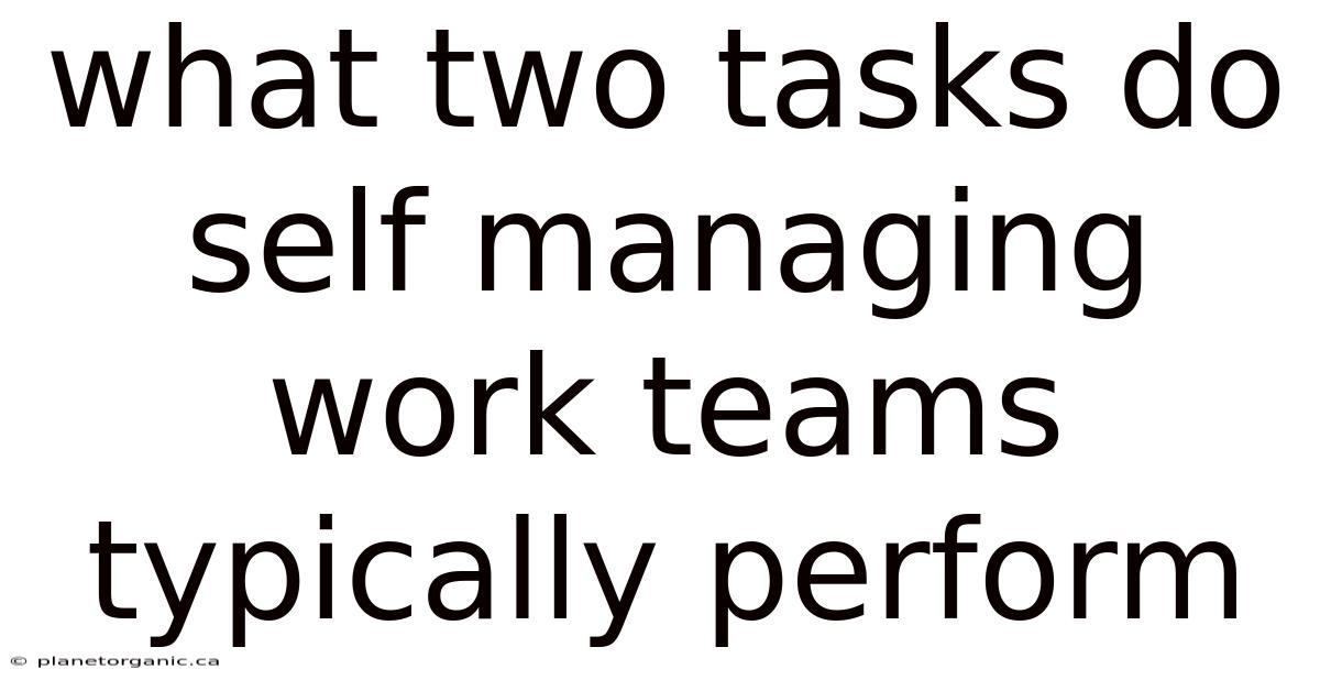 What Two Tasks Do Self Managing Work Teams Typically Perform