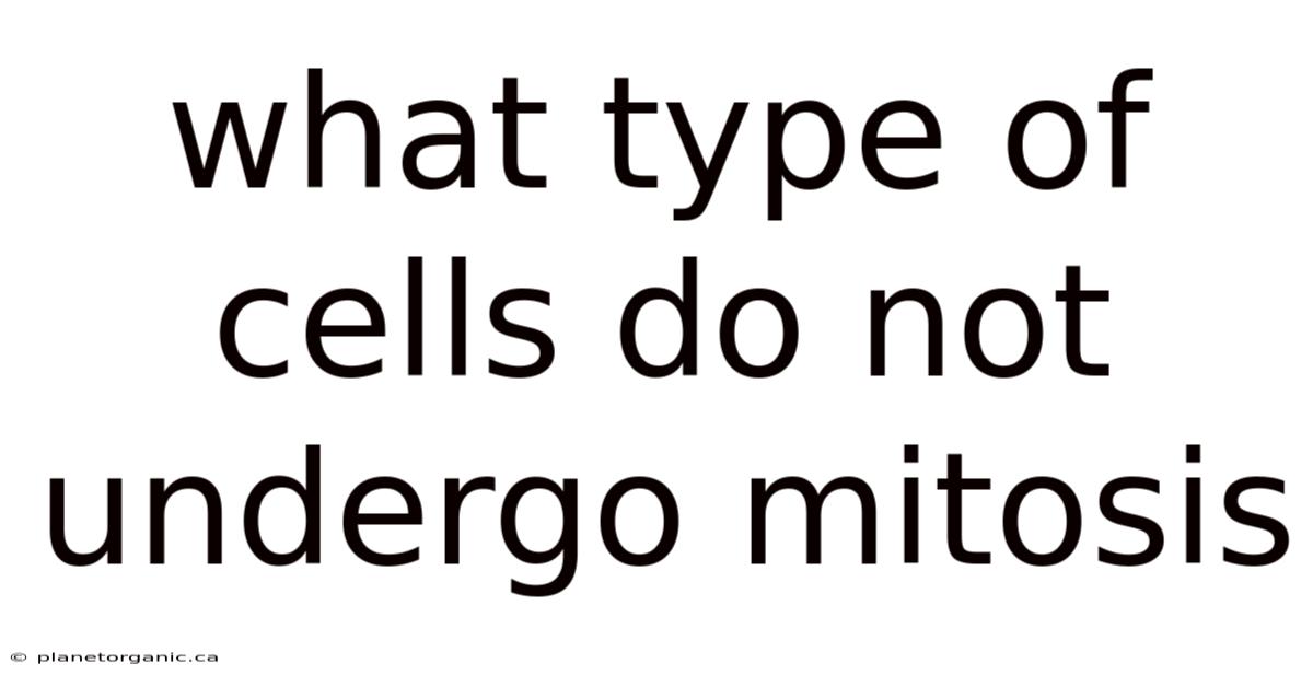 What Type Of Cells Do Not Undergo Mitosis