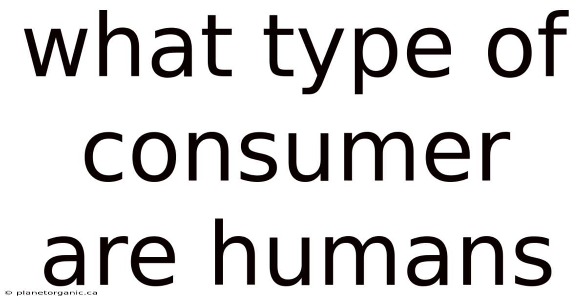 What Type Of Consumer Are Humans