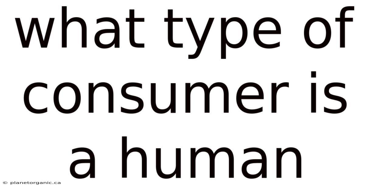 What Type Of Consumer Is A Human