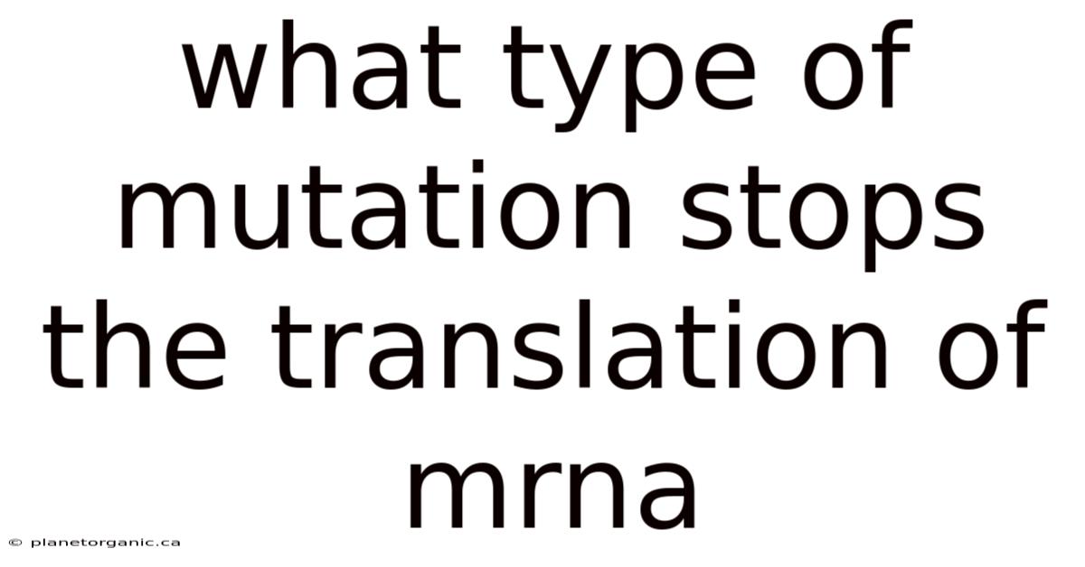What Type Of Mutation Stops The Translation Of Mrna