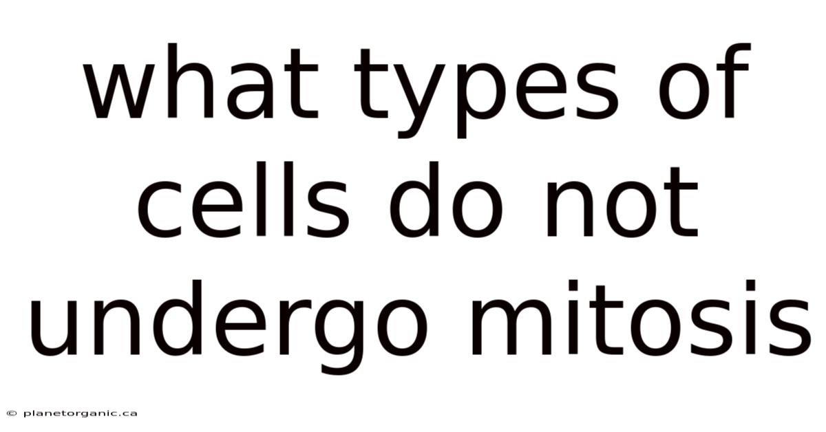 What Types Of Cells Do Not Undergo Mitosis