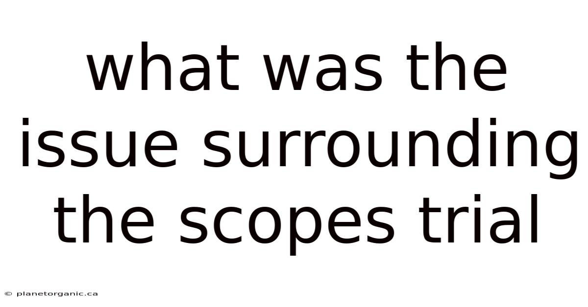 What Was The Issue Surrounding The Scopes Trial