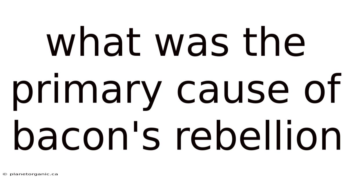What Was The Primary Cause Of Bacon's Rebellion