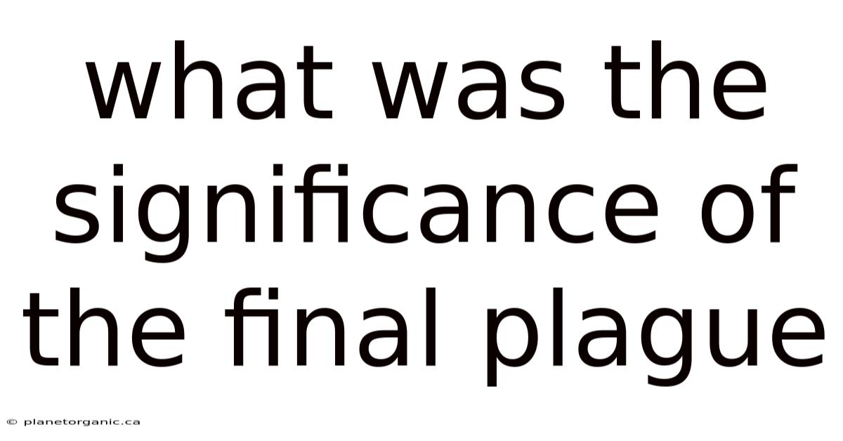 What Was The Significance Of The Final Plague