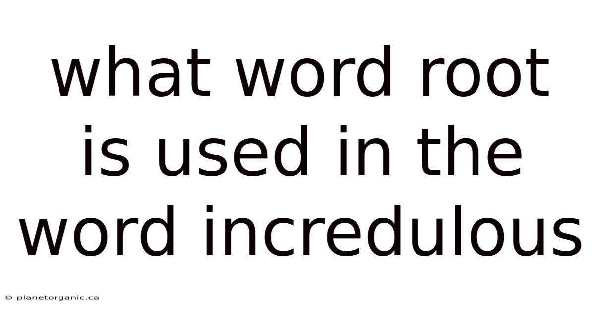 What Word Root Is Used In The Word Incredulous