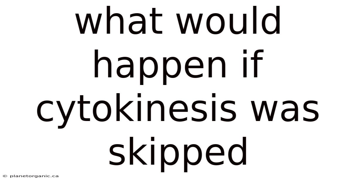 What Would Happen If Cytokinesis Was Skipped