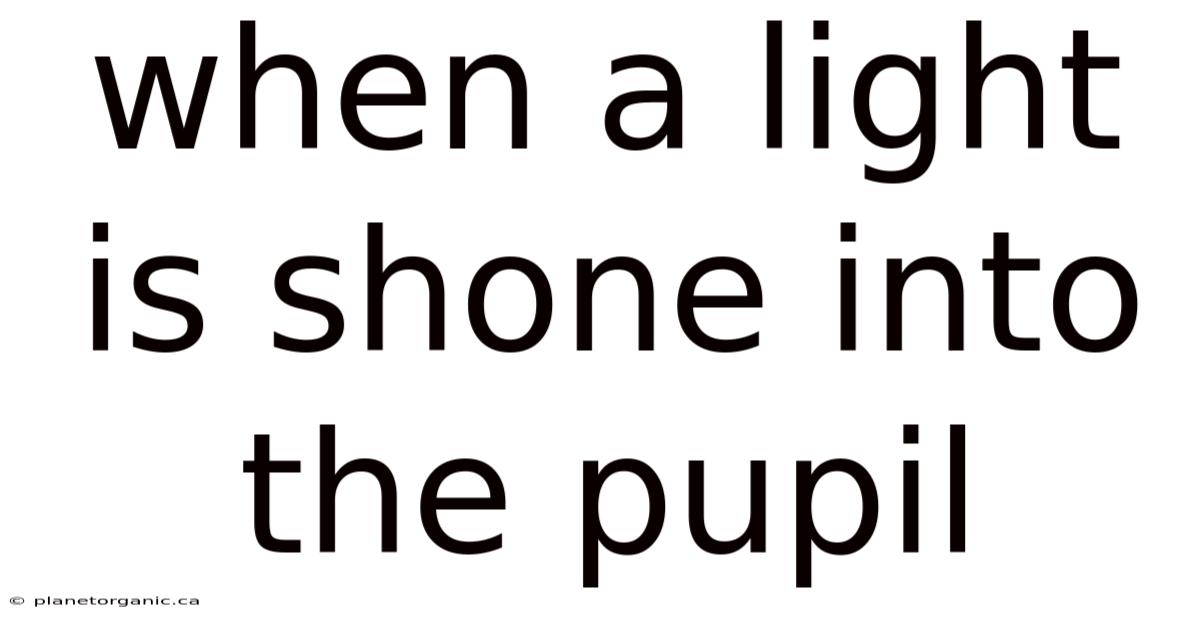 When A Light Is Shone Into The Pupil