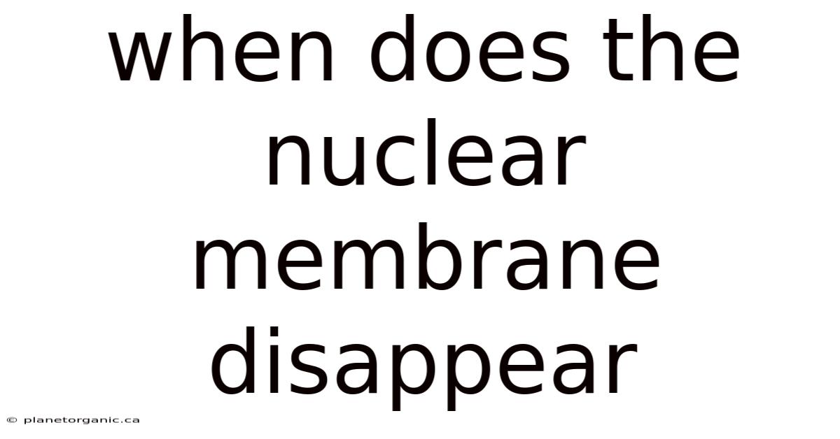 When Does The Nuclear Membrane Disappear