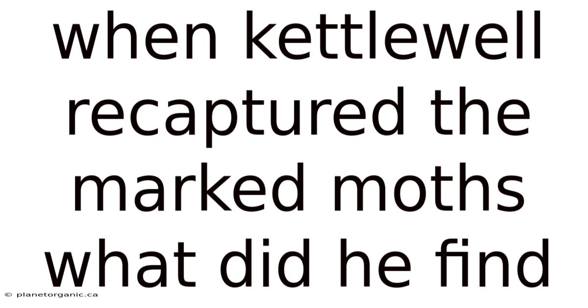 When Kettlewell Recaptured The Marked Moths What Did He Find